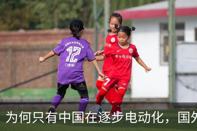 为何只有中国在逐步电动化，国外却仍以油车为主，问题出在哪？