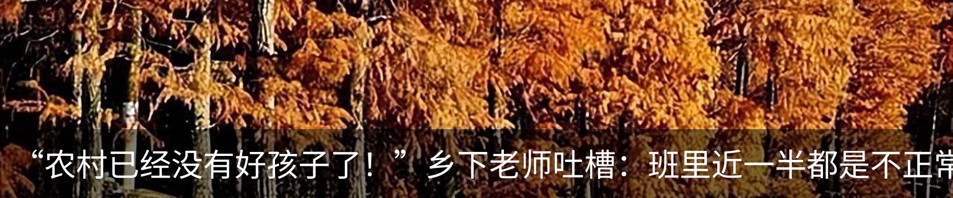 行业资讯