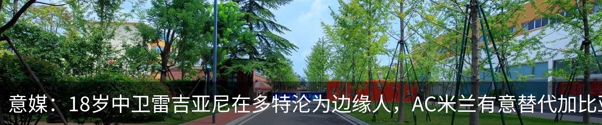 行业资讯