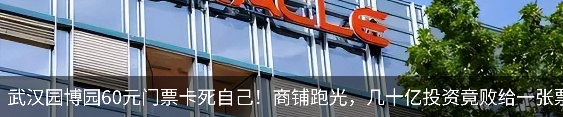 行业资讯
