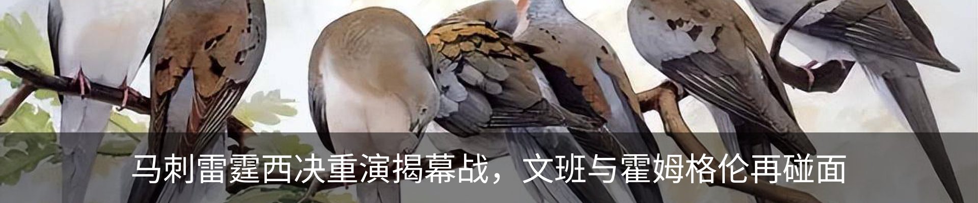 行业资讯